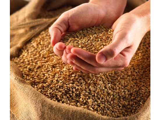 Naturjutesäcke, verschiedene Größen, 10 Stück