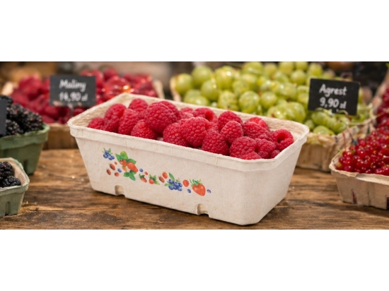 Obstschale aus Zellstoff 400g, mit Aufdruck, Karton 420 Stück