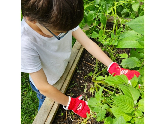 FELCO KIDS 720 Arbeitshandschuhe für Kinder im Alter von 6–8 Jahren, Schutzhandschuhe