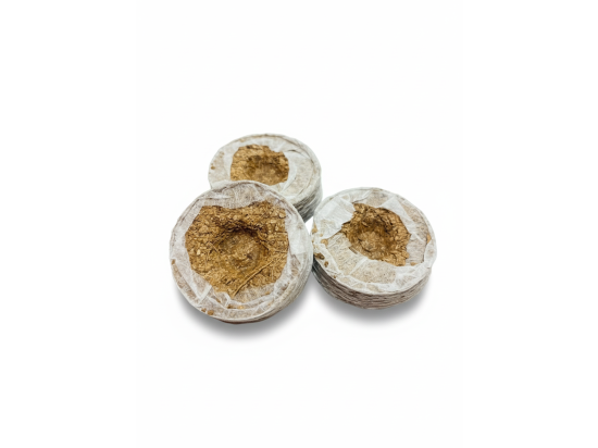 Torfscheiben aus Kokosfaser für Blumentöpfe und zum Keimen, Durchmesser 8 cm, 10er-Set