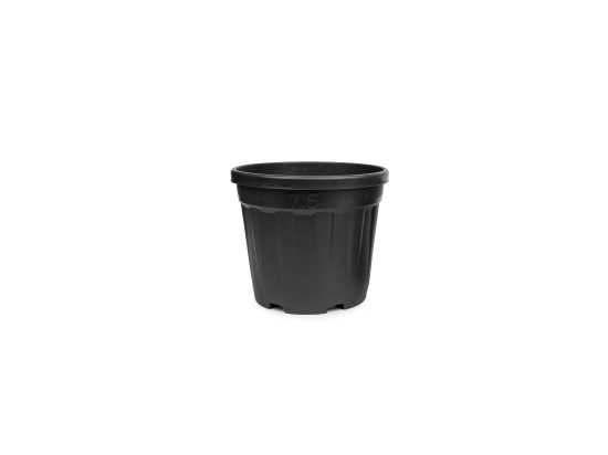 Stabile Anzucht-Töpfe für Baumschulen, 3 l, 19 cm x 16,5 cm