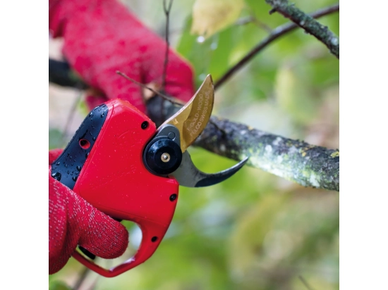 Elektrische Gartenschere FELCO 834W, 34-mm-Klinge, F-Gold, sicheres Schnittschutzsystem „Cut Shield“
